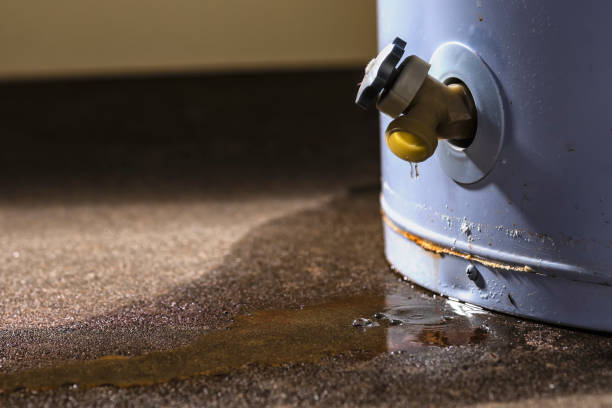 Sewage cleanup and water damage restoration in Greenville, FL