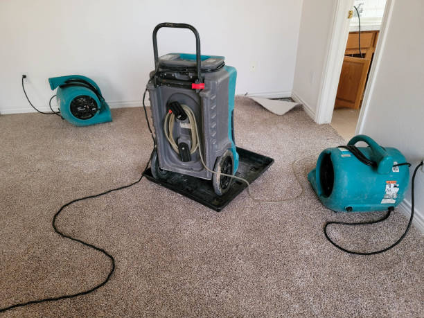 Best Water damage contractors near me  in Greenville, FL