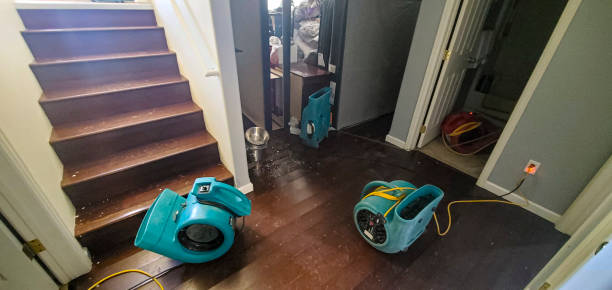 Best Water damage restoration near me  in Greenville, FL