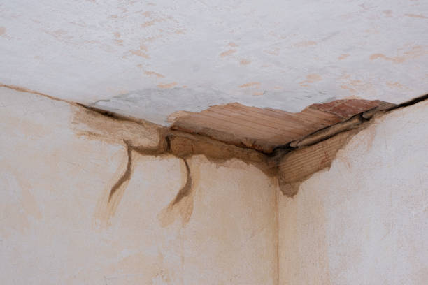 Best Water damage mitigation services  in Greenville, FL