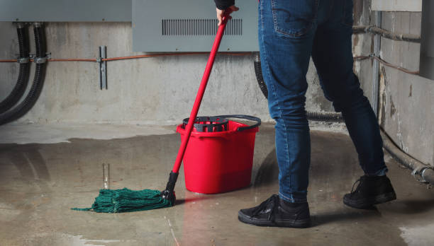 Best Residential water damage restoration  in Greenville, FL