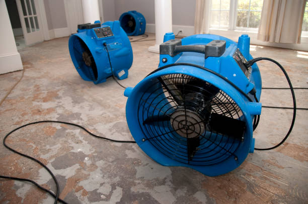 Best Commercial water damage restoration  in Greenville, FL