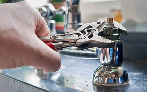 Best Flood restoration services  in Greenville, FL