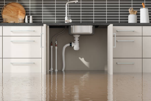 Best Water damage restoration near me  in Greenville, FL