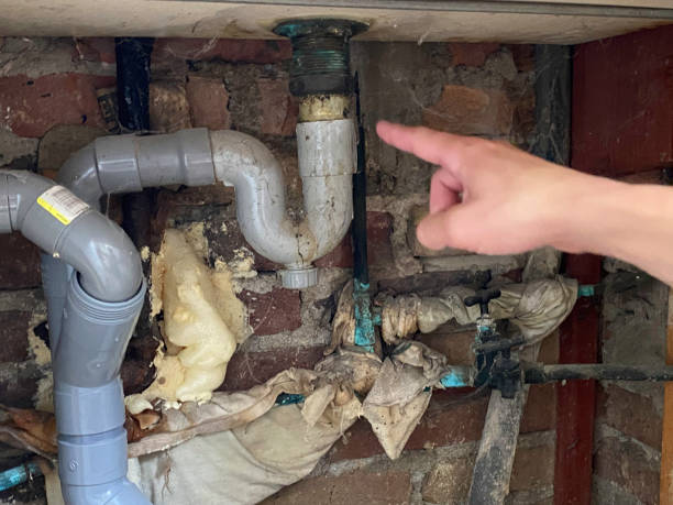 Best Water damage restoration mold remediation  in Greenville, FL