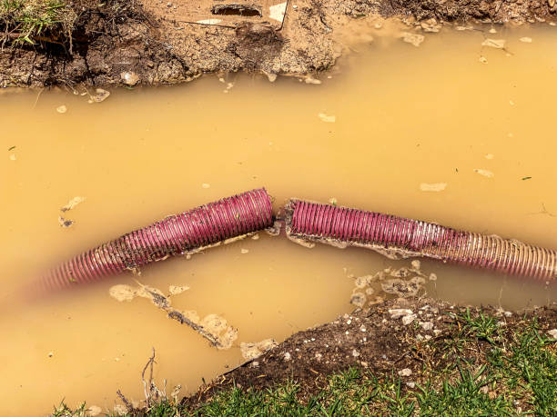 Trusted Greenville, FL Water damage restoration Experts