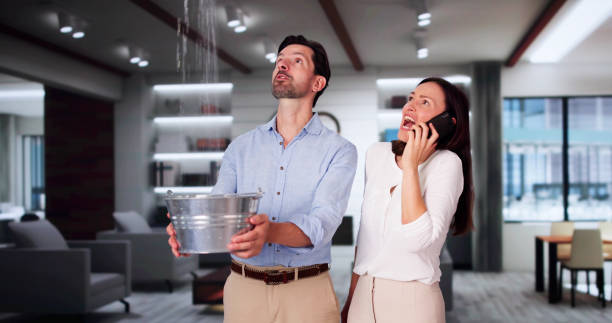 Best Ceiling water damage repair  in Greenville, FL