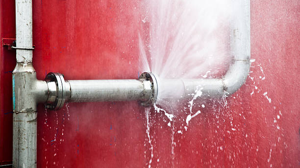 Best Flood damage cleanup  in Greenville, FL