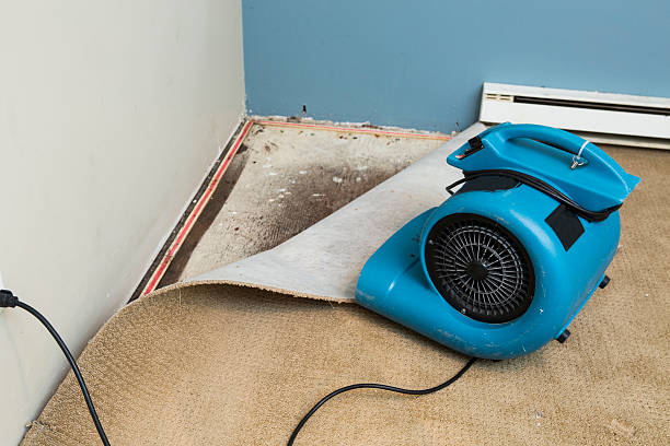 Best Flooded house restoration  in Greenville, FL